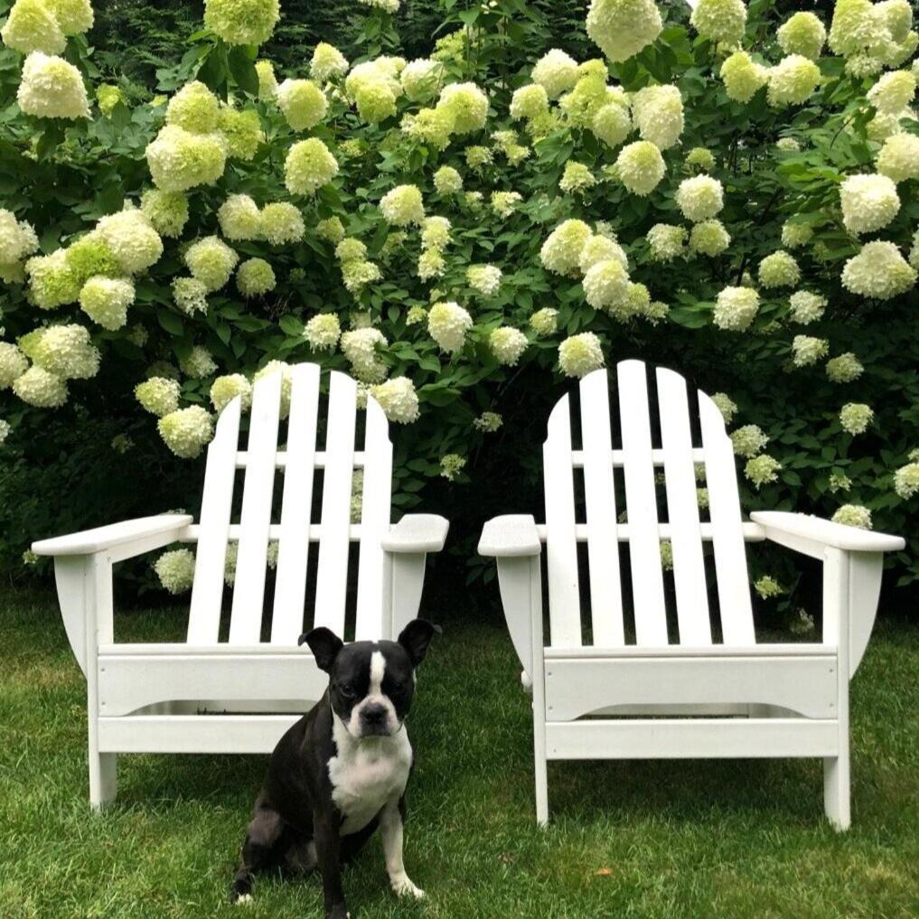 The Maidstone Inn East Hampton Bagian luar foto
